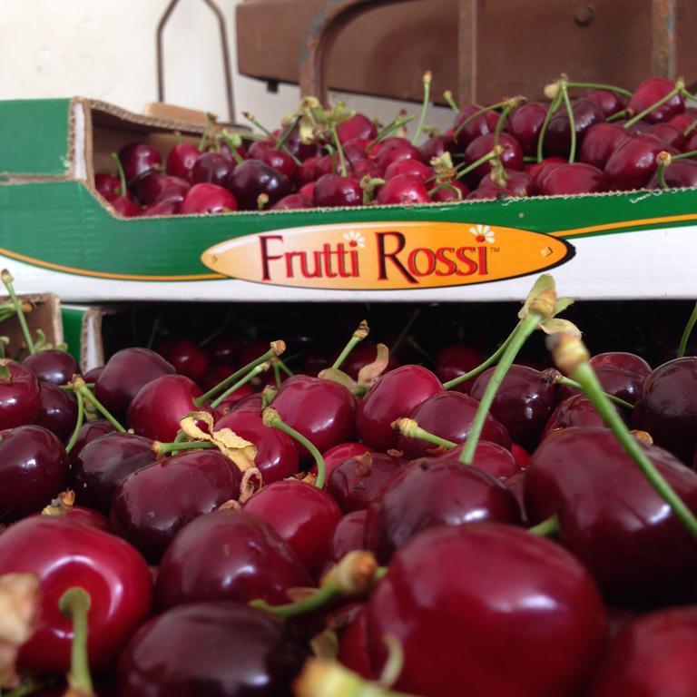 Trofarello Agriturismo Fruttirossi מראה חיצוני תמונה