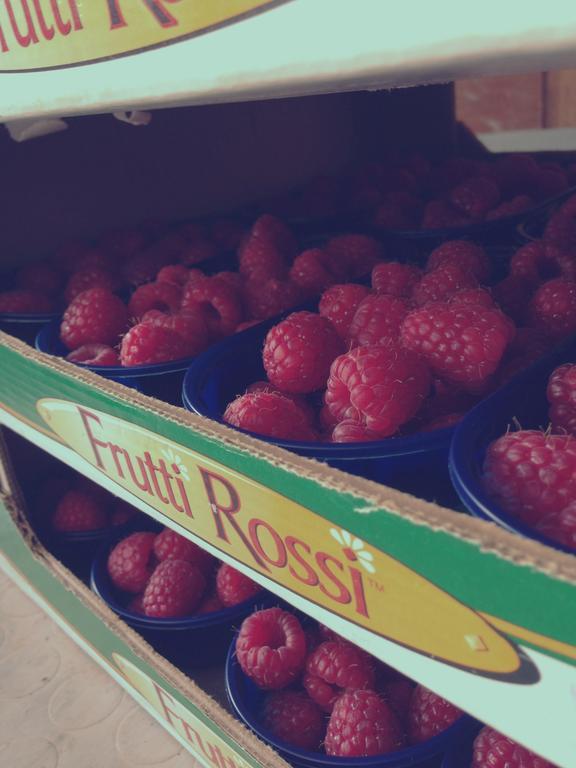 Trofarello Agriturismo Fruttirossi מראה חיצוני תמונה