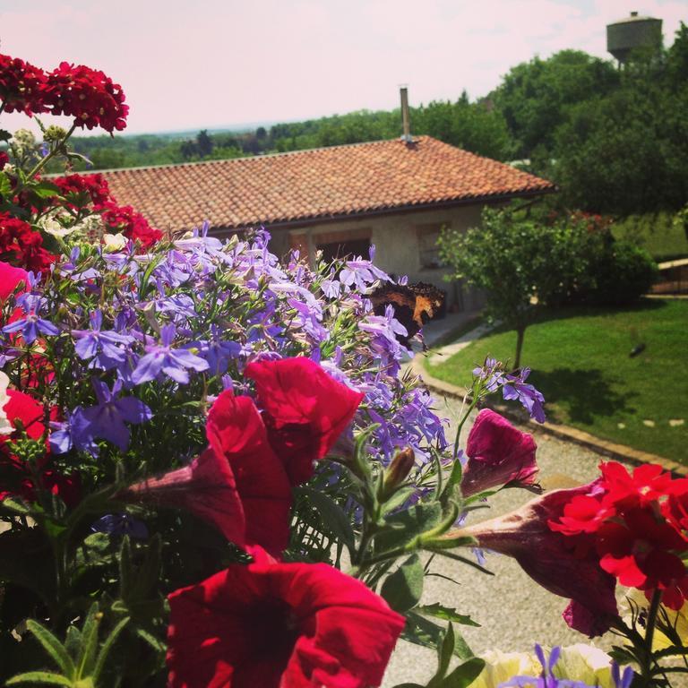 Trofarello Agriturismo Fruttirossi מראה חיצוני תמונה